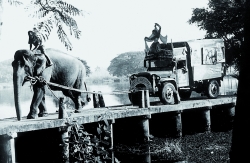 Battu’s Bioscope
