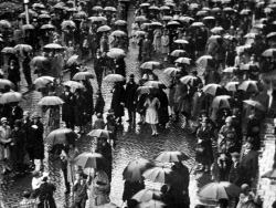 Rain