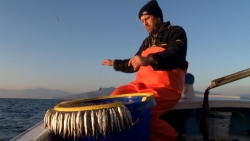 Ecological Diaries – A Silent Sea