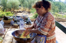 Olive Oil, a Little Water, a Peeled tomato...