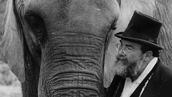 One Lucky Elephant