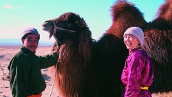 The Story of the Weeping Camel