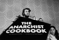 American Anarchist