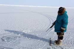 Angry Inuk