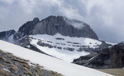 Olympus: Four Paths to Reach the Gods