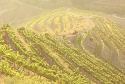 Priorat