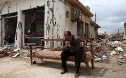 Shingal, Where Are You?