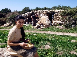 Akamas