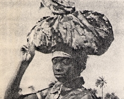 Niaye
