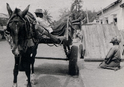 The Cart Driver
