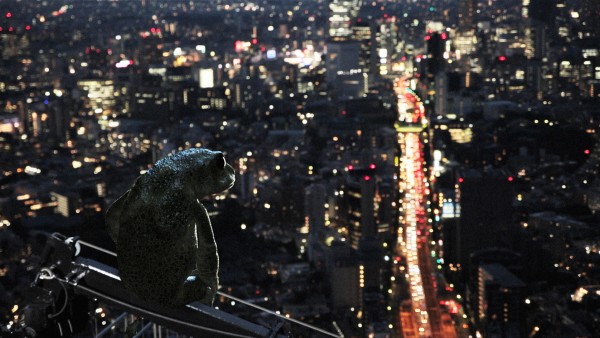 Dreaming Murakami