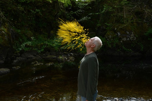 Leaning into the Wind: Andy Goldsworthy