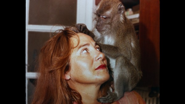 Lots of Kids, a Monkey and a Castle