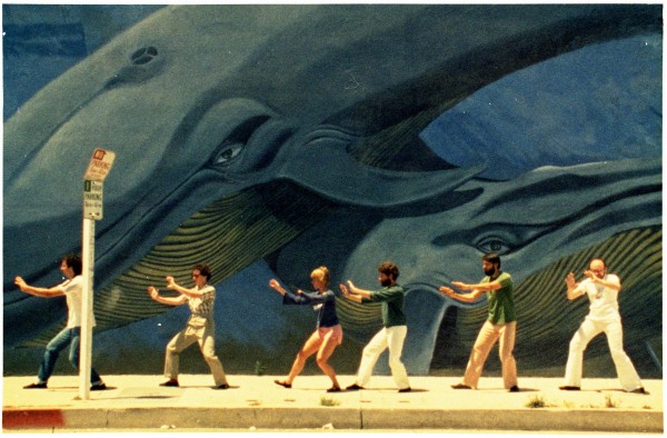 Mural Murals