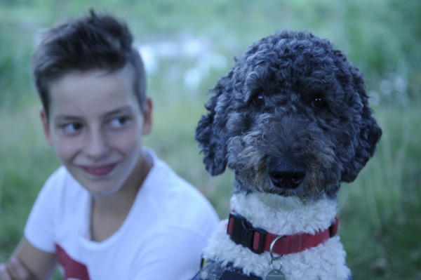Buddy