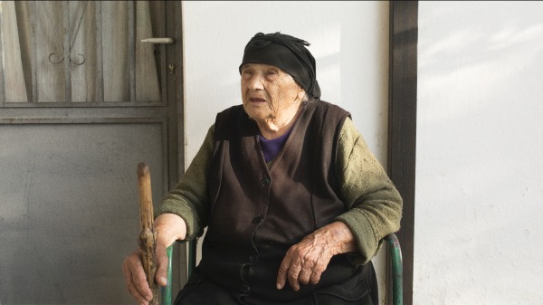 Ρίζες