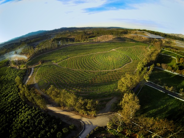 The Biggest Little Farm