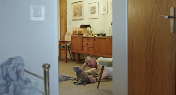 All Cats Are Grey in the Dark