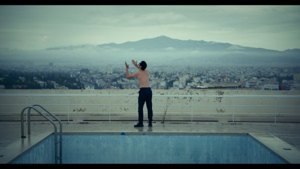 Όρνιθες (Ή πώς να γίνεις πουλί)