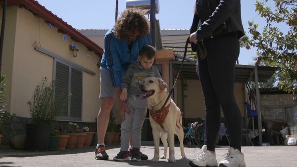 Dogs That Change Lives