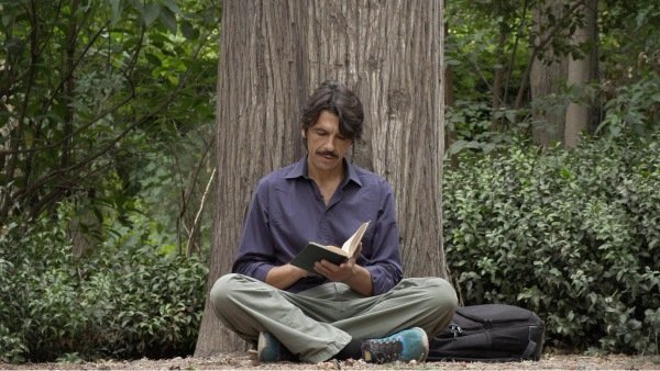 On the Art of Pruning