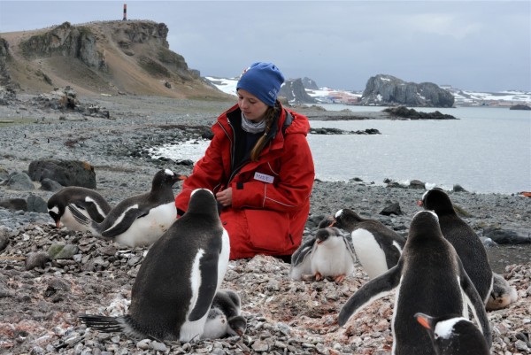 The Unknown Life of Antarctica - A Year Amid the Eternal Ice