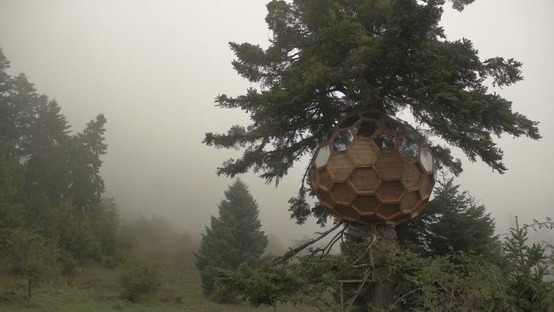 Natural Life, Natural Building