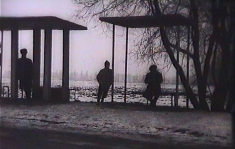 The Bus Stop