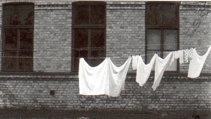 The Linen