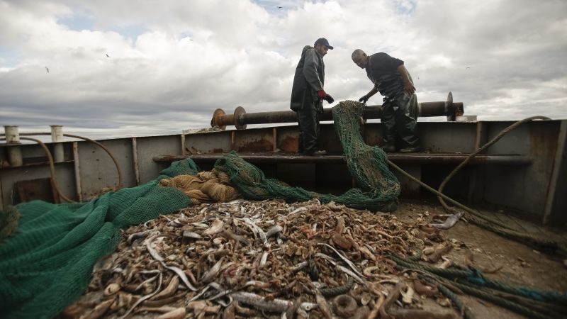 Fishing for Litter