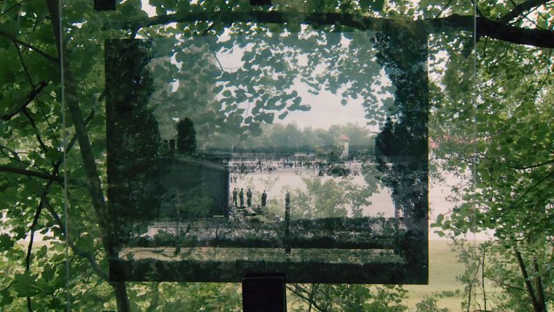 From Where They Stood