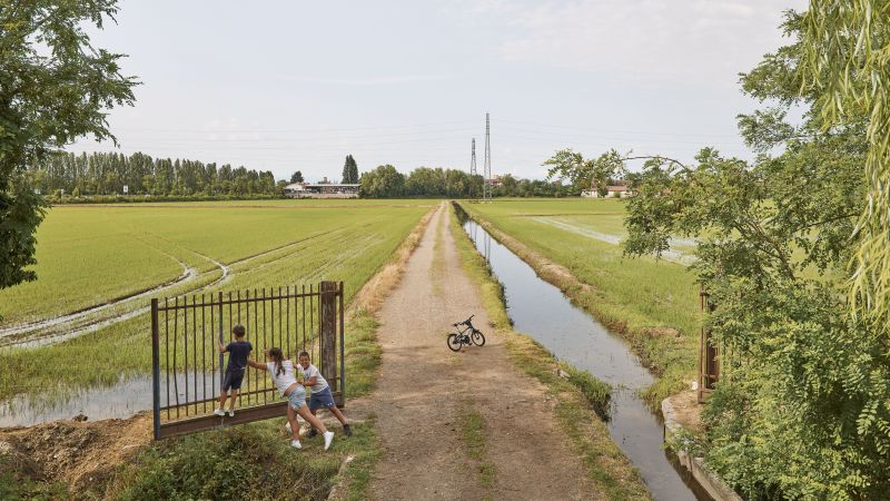 The Village of Roses