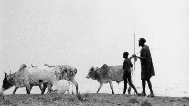 To Live with Herds