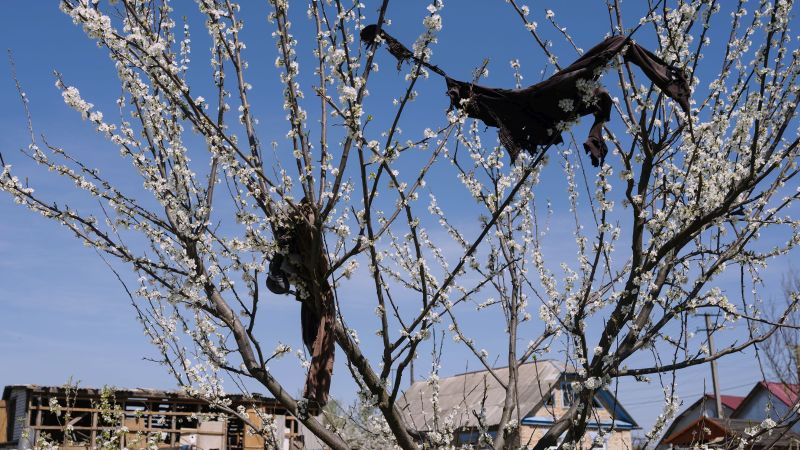 When Spring Came to Bucha