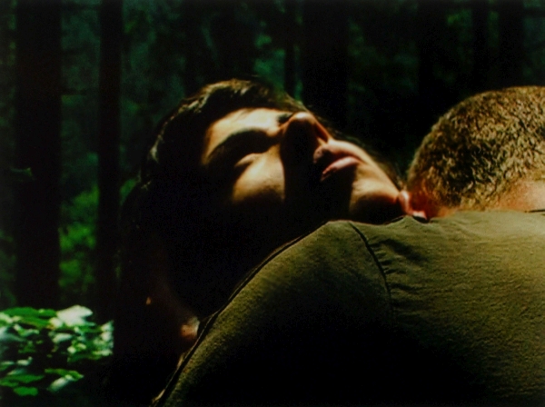In the Woods