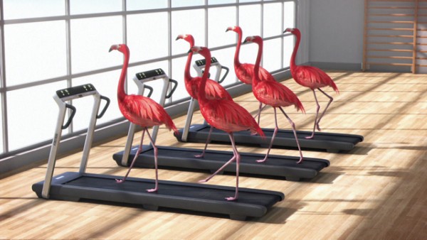 Athleticus