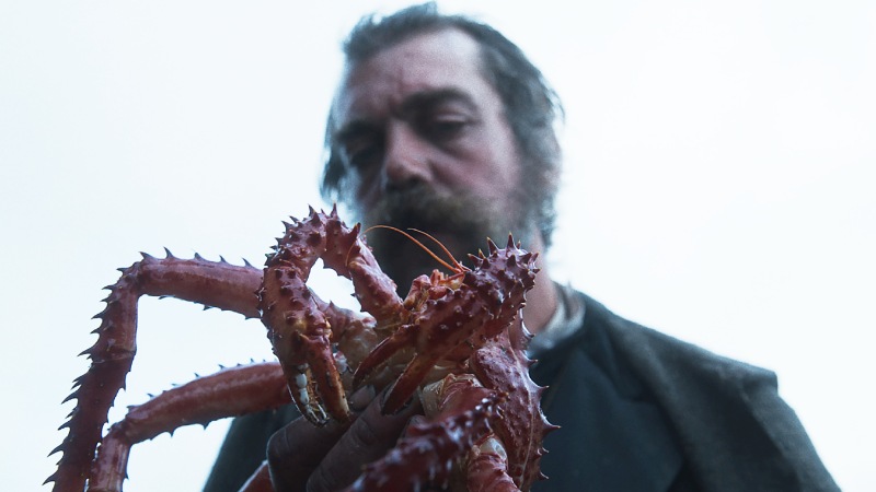 The Tale of King Crab