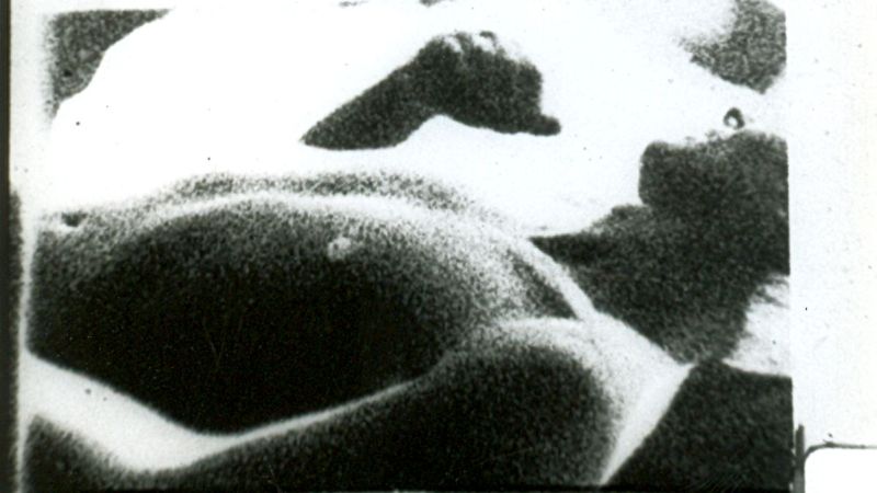 Parallel Space: Inter-View