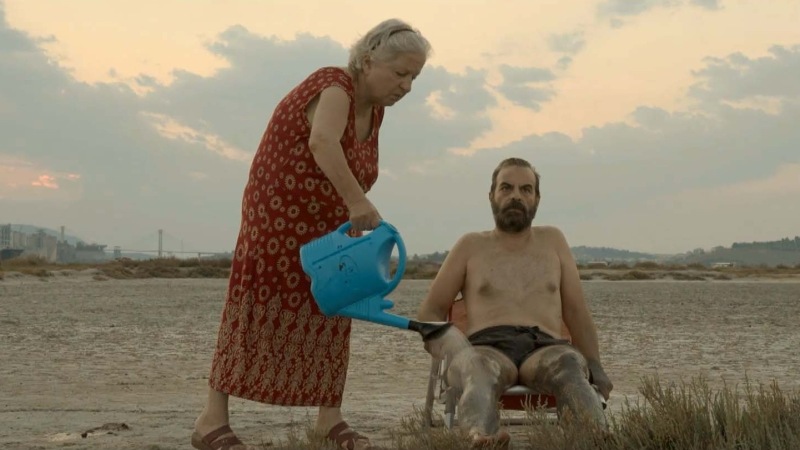 Επαγγελματίας υπνοβάτης