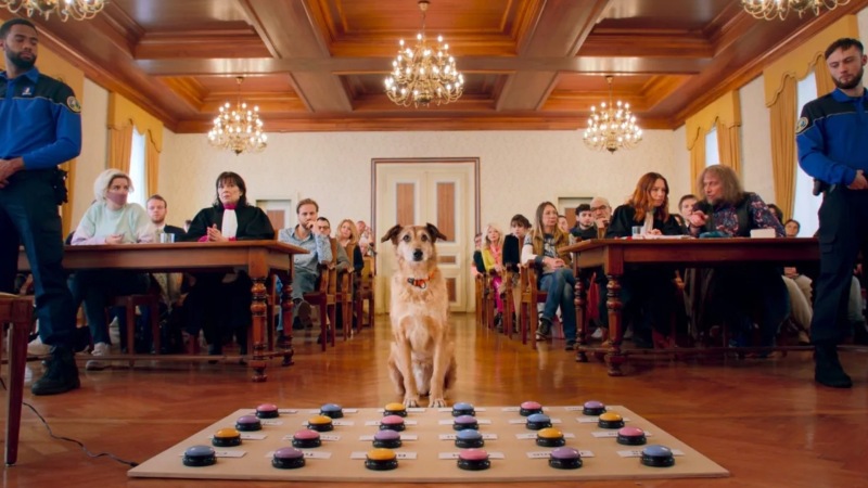 Dog on Trial