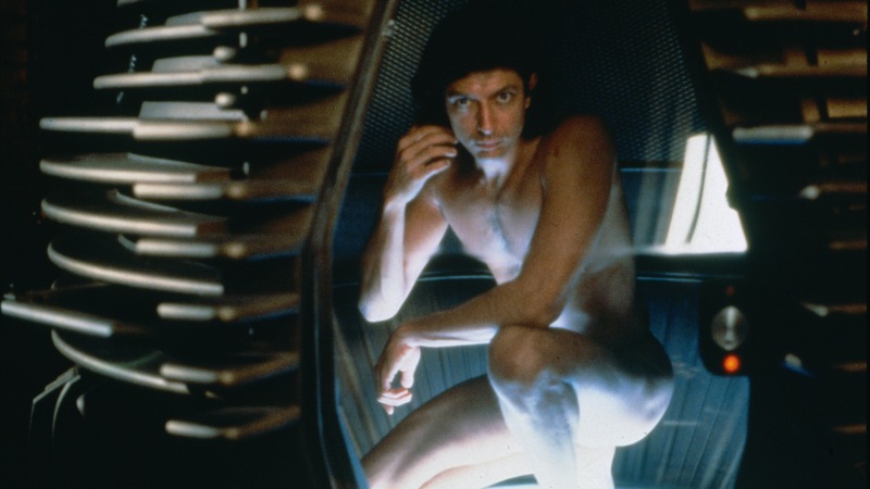 The Fly