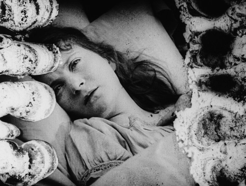 Ντόσον Σίτι: Παγωμένος χρόνος