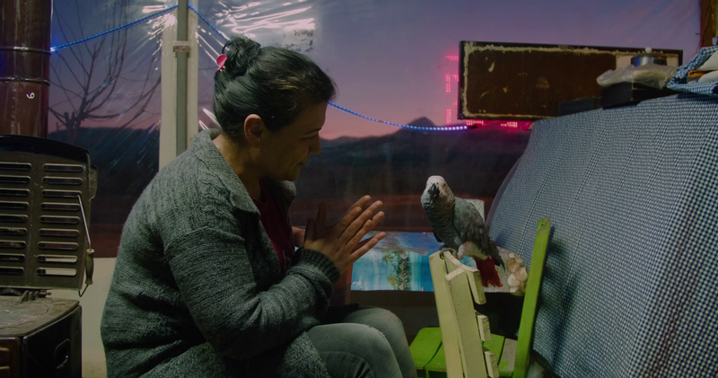 EXILE(S)_TALES_FROM_AN_ISLAND_1