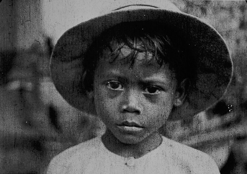 MOTHER_DAO_THE_TURTLELIKE_1