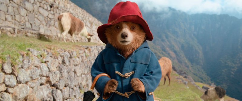 O_PADDINGTON_STO_PERU