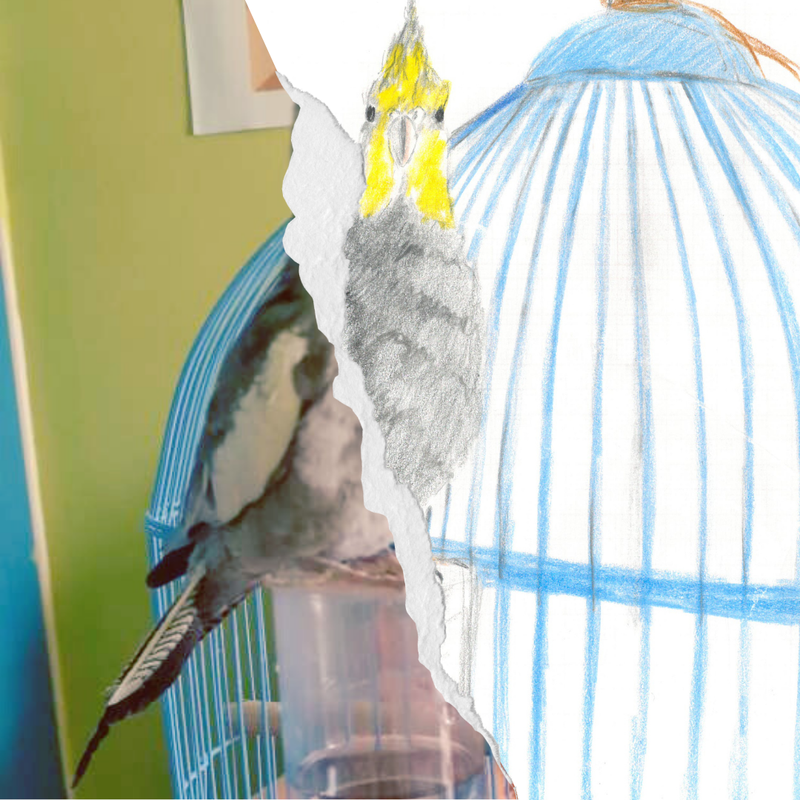 Ο ΘΟΔΩΡΑΣ ΣΤΟΝ ΑΕΡΑ! - THODORAS ON AIR!